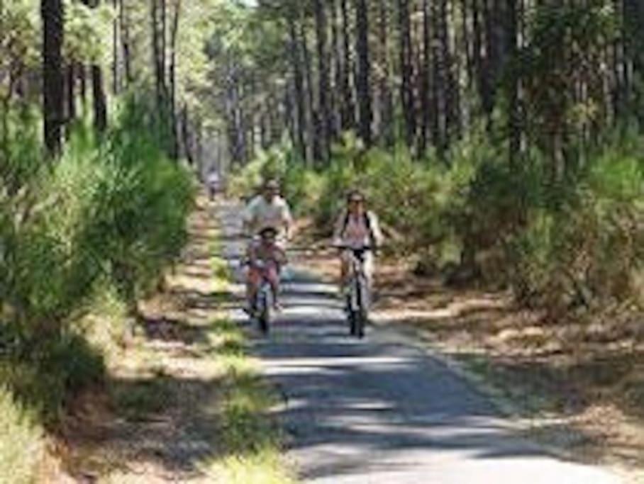 Maison De Vacances 4/5 Personnes A Leon, Landes ภายนอก รูปภาพ